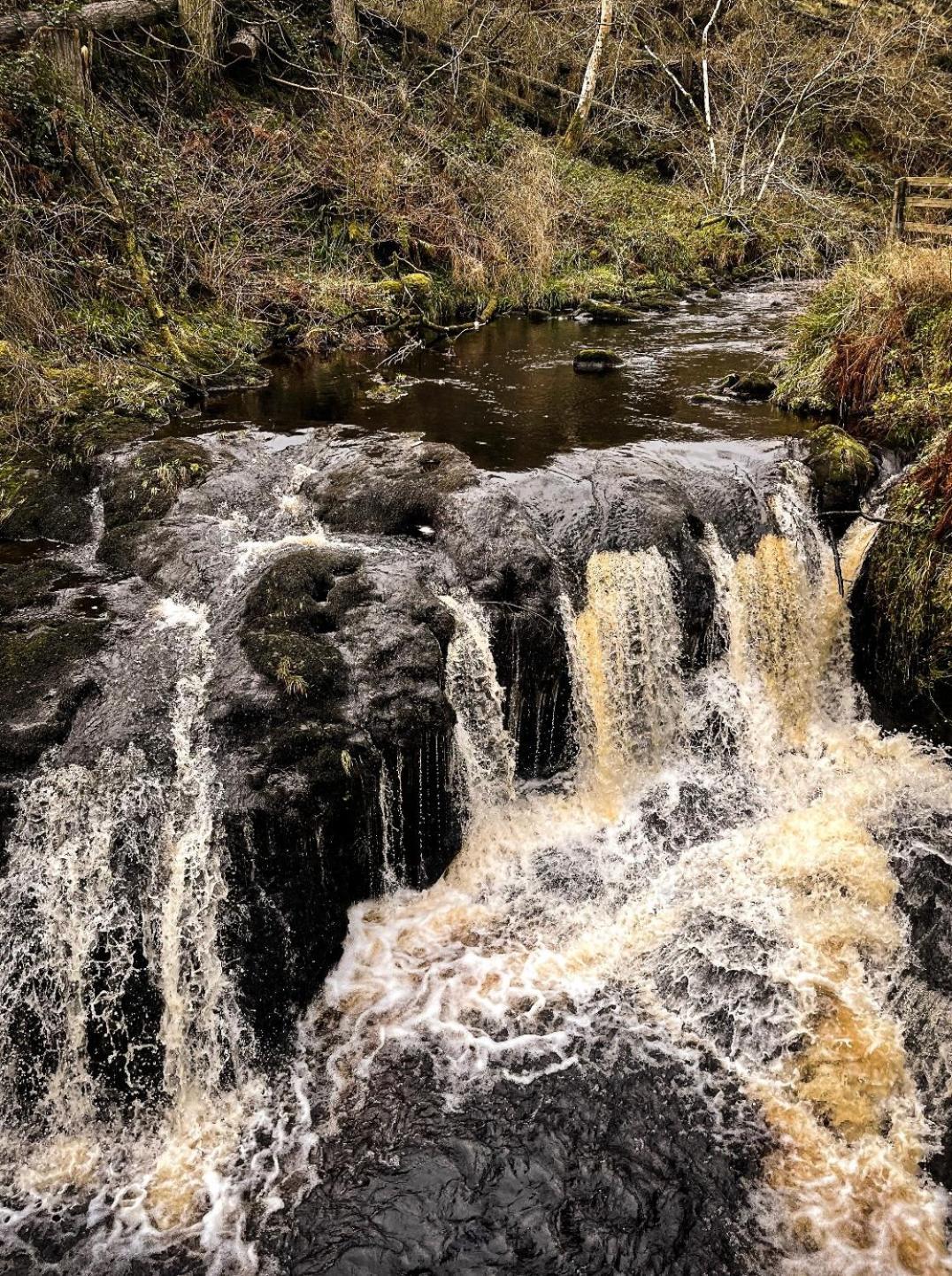 Glenariff Forest Evergreen Lodge Dış mekan fotoğraf